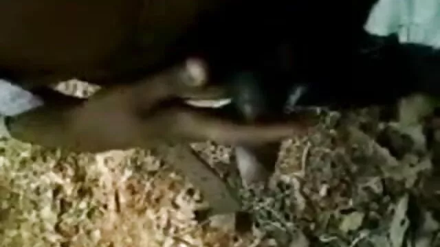 MILF सेक्सी मूवी मूवी हिंदी में