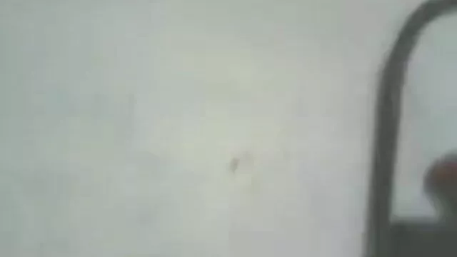 पत्नी निकल जाती सेक्स की मूवी हिंदी में है और वह विशाल कुतिया को चोदता है