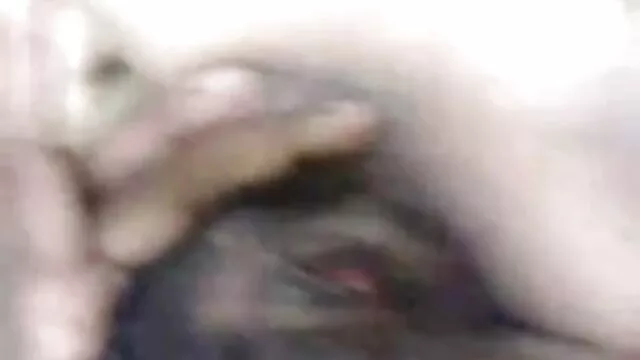 मोटी गधा आबनूस सेक्स की मूवी हिंदी में कोलम्बिया Junosex उसे बड़ा खिलौना fucks