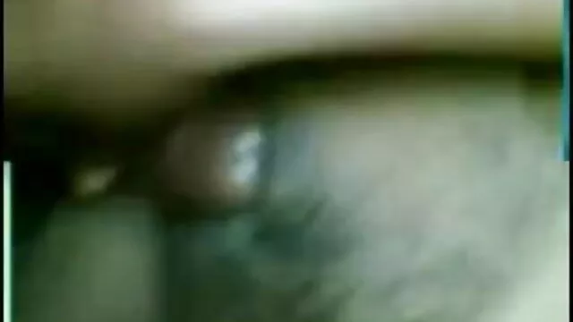 जंगली सेक्सी मूवी हिंदी में फुल एचडी जीव तांडव