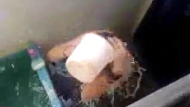 बिकनी डांस सेक्सी वीडियो में हिंदी मूवी