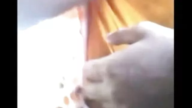 असली पार्टी सेक्सी मूवी हिंदी में यूरो श्यामला शौकीनों हेलमेट