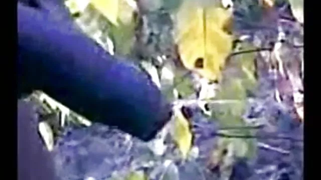 हर एक की खुराक सेक्सी हिंदी मूवी वीडियो में सीरी, सैंड्रा और ट्रिनिटी