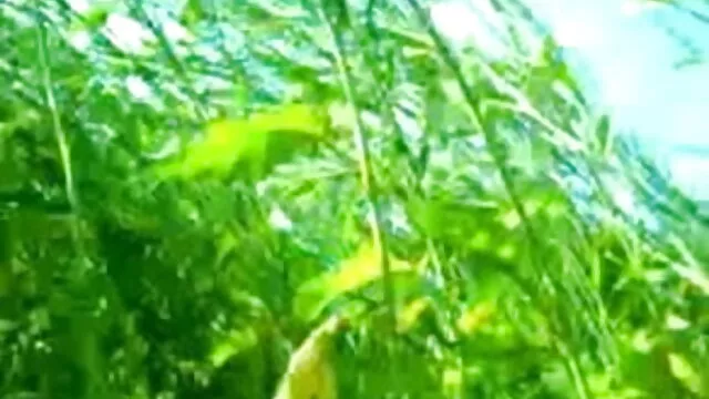 हमें पैंटी सेक्सी हिंदी मूवी में को भी खोना चाहिए