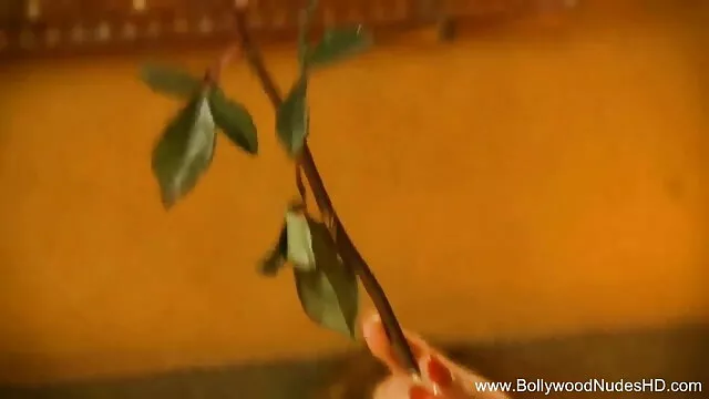 मेरे पूर्व हिंदी में सेक्सी पिक्चर मूवी GF के स्वर्गीय स्तन