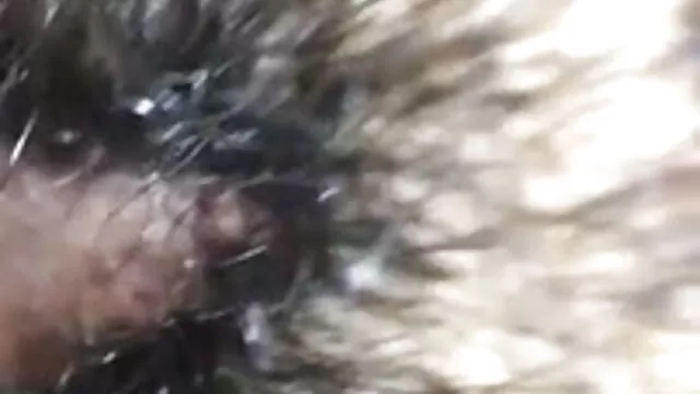 लैटिन Milf बीबीसी हिंदी में सेक्सी फिल्म मूवी बीबीसी