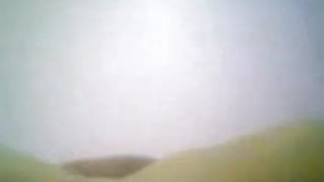 सौतेली माँ उसे एक हिंदी में सेक्सी वीडियो मूवी हाथ देती है