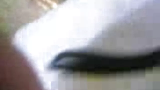 छोटू सीढ़ियों से केंडल को चोद रहा सेक्सी मूवी हिंदी में सेक्सी मूवी है