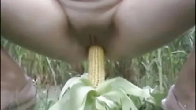 bbwsex सेक्सी वीडियो एचडी मूवी हिंदी में